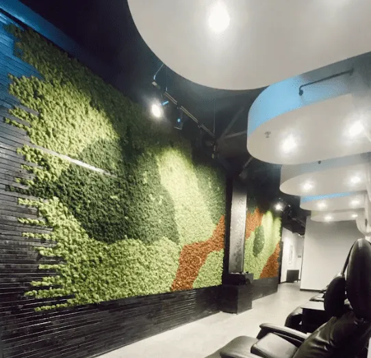 Zen Flow Hydration | Mobile IV Therapy | Miami