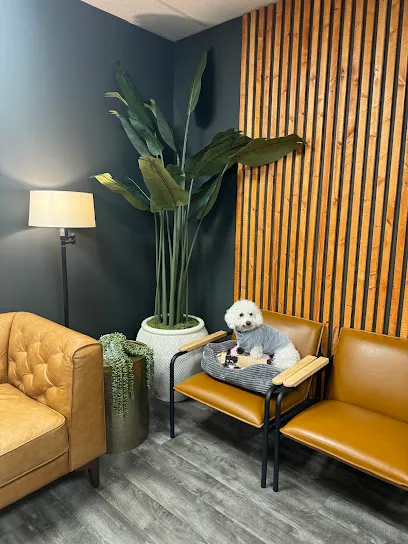 Holistic Medical Services, Inc.
